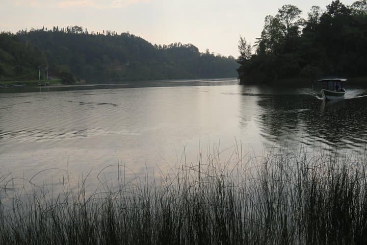 Lake Kivu Boat Excursion from Kibuye: Islands, Fruit Bats & Peaceful Waterways photo 4