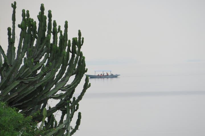 Lake Kivu Boat Excursion from Kibuye: Islands, Fruit Bats & Peaceful Waterways photo 5