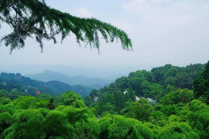 Plog and Hike Mount Mogan: Guided Eco-Hike from Hangzhou photo 4