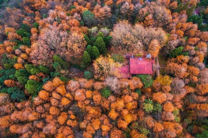 Plog and Hike Mount Mogan: Guided Eco-Hike from Hangzhou photo 5