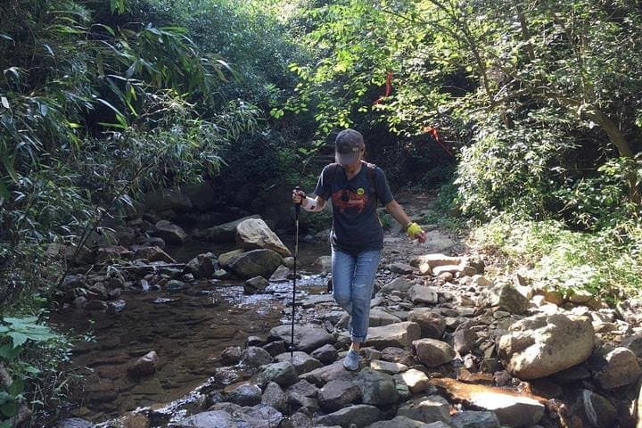 Plog and Hike Mount Mogan: Guided Eco-Hike from Hangzhou photo 6