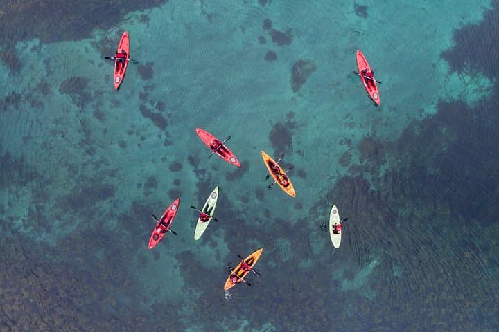 Paddle Kirkjufell: Classic 2-Hour Coastal Kayak & Seal-Spotting Tour photo 4