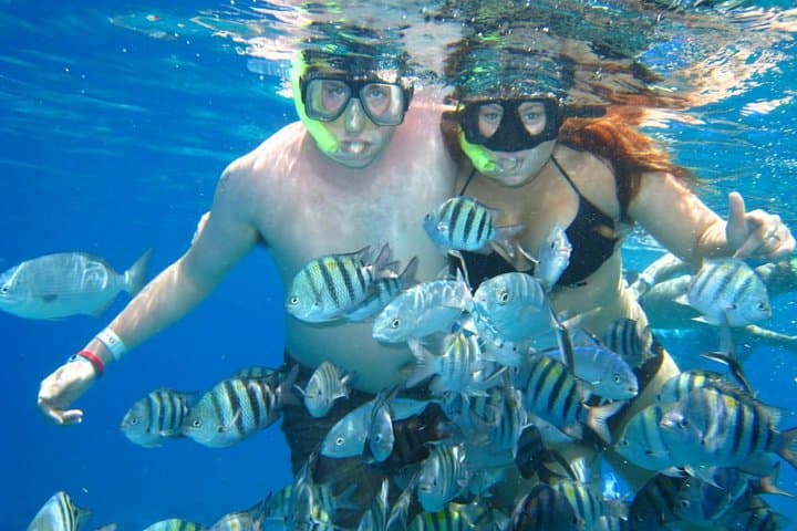 Exploring Cozumel’s Shallow Reefs: Glass Bottom Boat Snorkeling Adventure photo 4