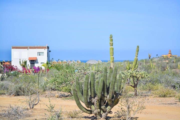 Private Todos Santos Jeep Tour: Cerritos Beach, Todos Santos & Baja Backroads photo 3