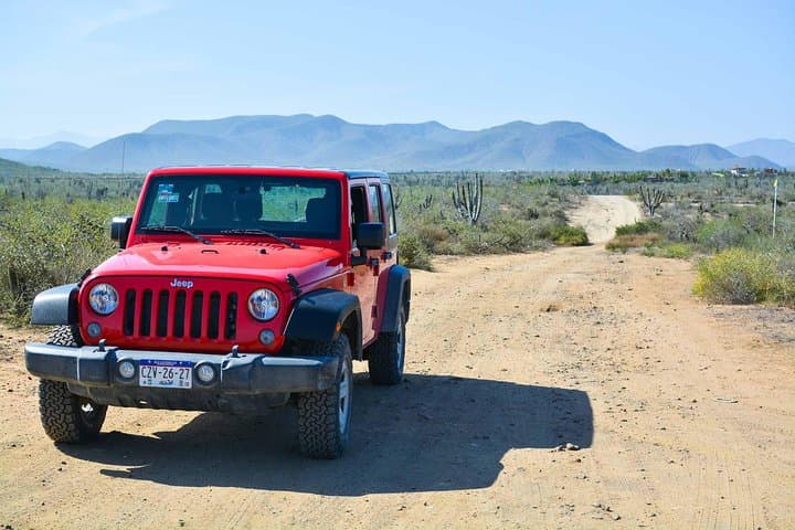 Private Todos Santos Jeep Tour: Cerritos Beach, Todos Santos & Baja Backroads photo 4