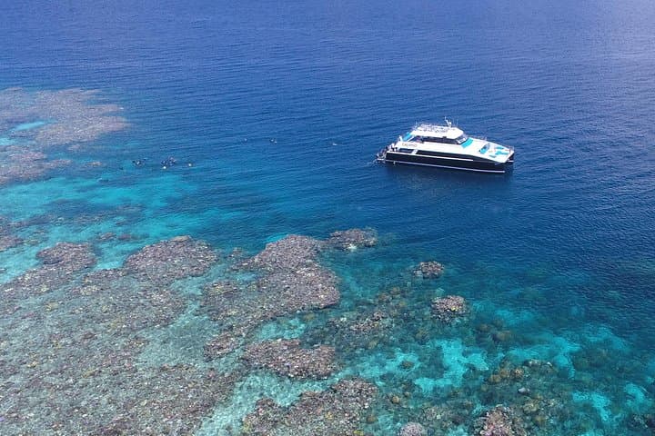 Outer Great Barrier Reef Cruise from Port Douglas — Snorkel Agincourt & Opal Reefs photo 3