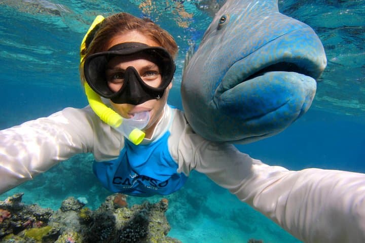 Outer Great Barrier Reef Cruise from Port Douglas — Snorkel Agincourt & Opal Reefs photo 4