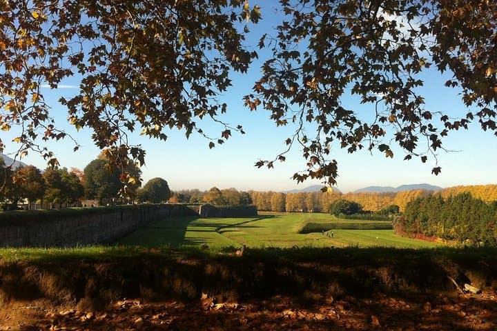 Lucca by Bike: Private 2-Hour Ride on the Renaissance Walls and Historic Center