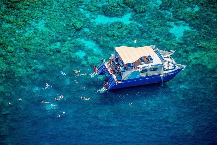 Explore Kealakekua Bay: Kona’s Premier Morning Snorkeling Adventure