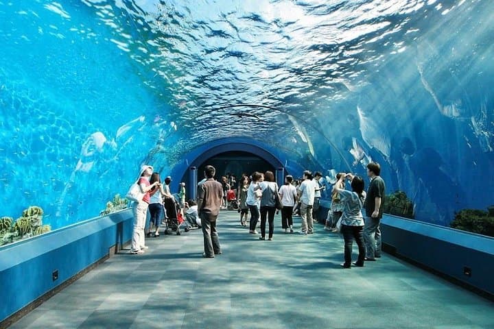 Pattaya Underwater World: Aquarium Admission with Return Transfer photo 3