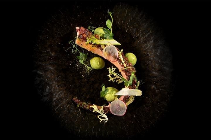 Enigma — Taste of Persia: Dinner at Palazzo Versace Dubai photo 4
