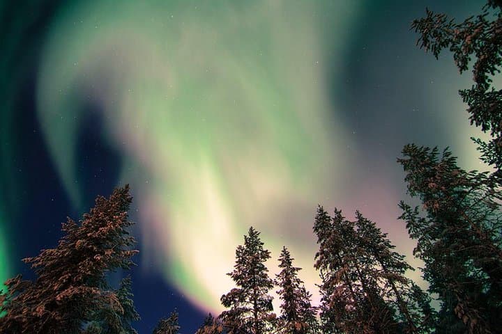 Aurora Picnic in Rovaniemi: Autumn Northern Lights by Open Fire photo 3