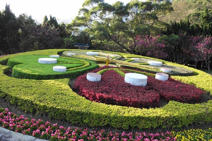 Yangmingshan National Park & Hot Spring Afternoon Tour: Volcano Views and Soaks
