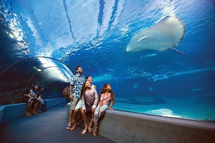 Inside Maui Ocean Center: Guide to Hawaii's Premier Aquarium photo 3