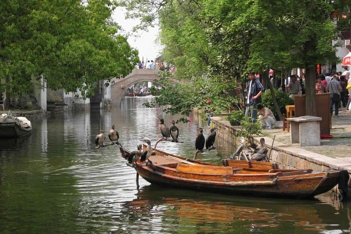 Private Transfer: Day Trip from Shanghai to Suzhou & Zhouzhuang Water Village