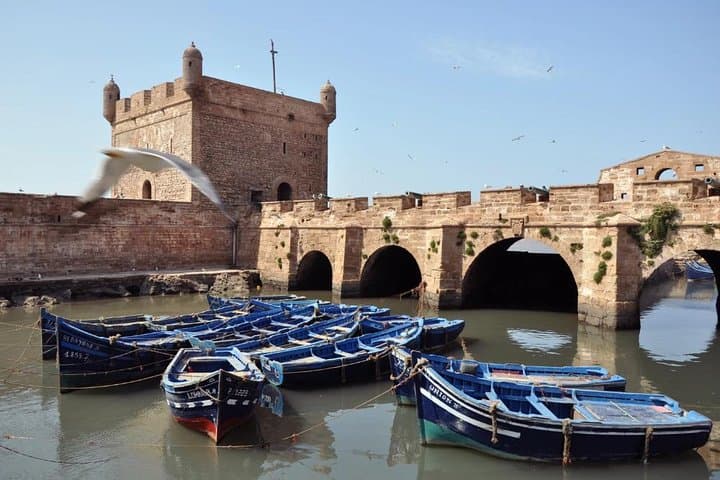 Day Trip to Essaouira from Marrakech — Atlantic Coast Tour & Medina Walk photo 2