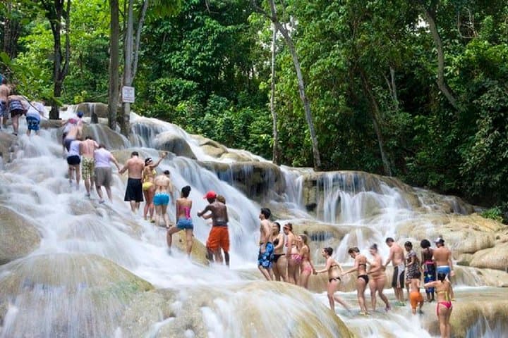 Falls Flyer Zipline and Dunn's River Falls Adventure from Negril photo 5