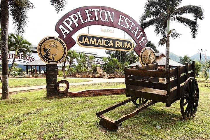 Appleton Estate Rum Tour from Runaway Bay: Distillery Visit & 10-Rum Tasting