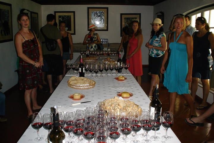 Lisbon to Setúbal Wine Tour: Palmela Castle, Arrábida & Traditional Wineries photo 3