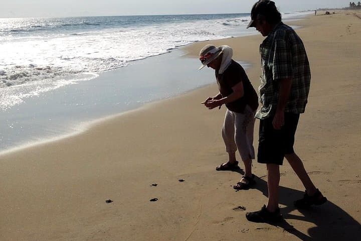 Six-Hour Acapulco Highlights Tour: La Quebrada Divers, Turtle Release & City Market photo 5