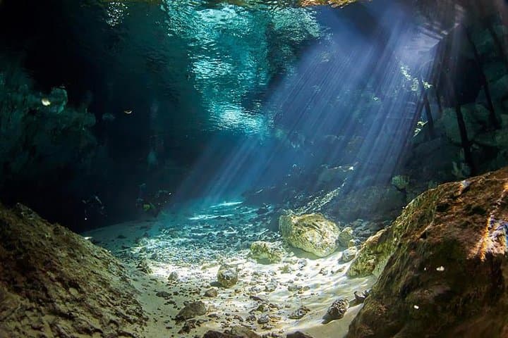 Cenote Diving Near Playa del Carmen: Light-Filled Caverns & Underwater Cathedrals