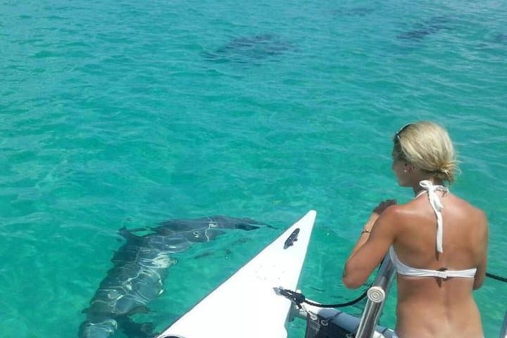 Key West Dolphin Watching and Shallow Water Snorkel on Echo Catamaran photo 3