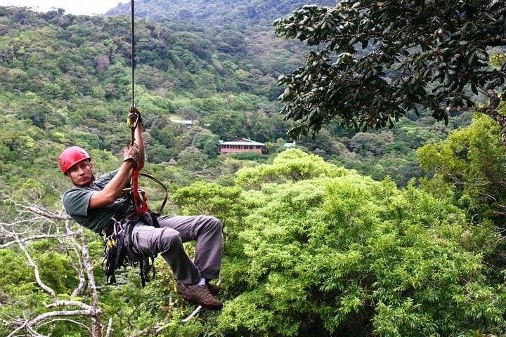 Monteverde Canopy Tour: Zipline, Rappel & Hollow-Tree Ladder Adventure