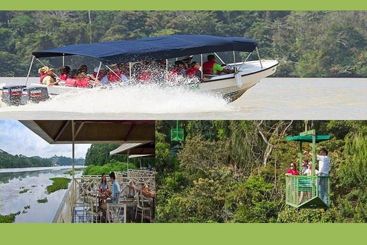 Gamboa Rainforest Experience: Aerial Tram & Wildlife near the Panama Canal photo 2