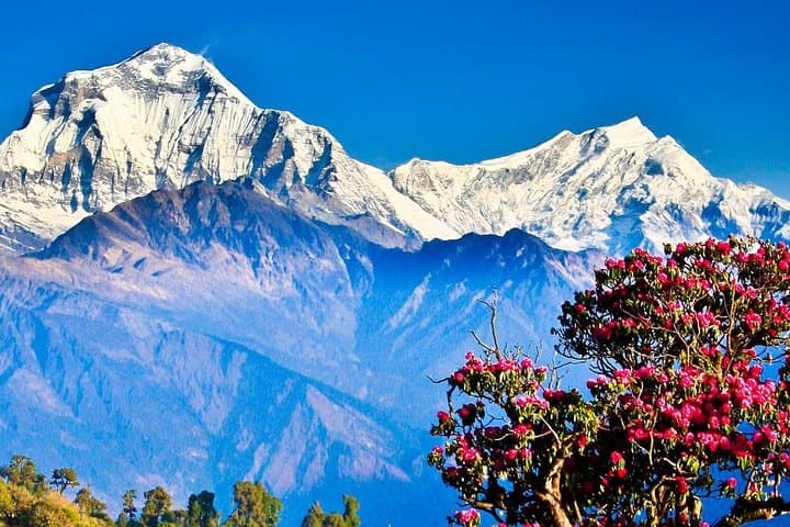 6-Day Panoramic Yoga Trek: Chisapani to Nagarkot & Dhulikhel Himalayan Hike photo 4