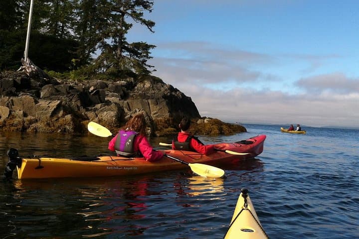 Ketchikan Kayak Eco-Tour: Paddle Through Alaska’s Rainforest Isles and Wildlife