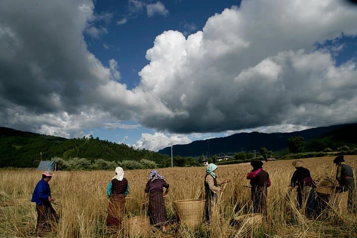 5-Day Bhutan Cultural Tour: Paro, Punakha & Tiger's Nest Experience photo 1