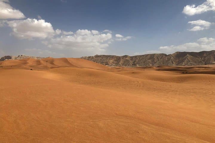 Morning Dubai Desert Safari: Dune Bashing, Camel Rides & Sandboarding photo 4