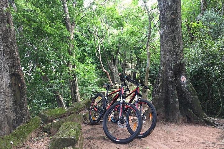 Twilight Cycling Through Angkor Wat: Sunset Bike Tour in Siem Reap photo 1
