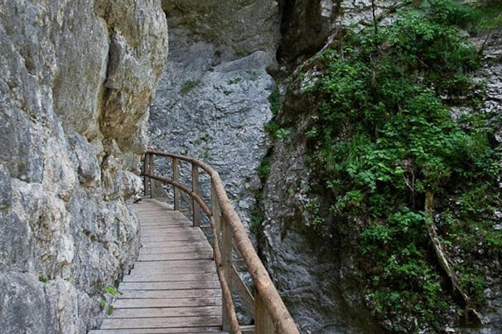 Discovery Trail: Private Half-Day Hike from Bled into Triglav National Park photo 3