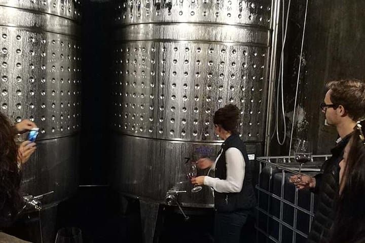 Private Penedès Wine & Cava Tasting Tour from Barcelona (Hotel Pickup) photo 2