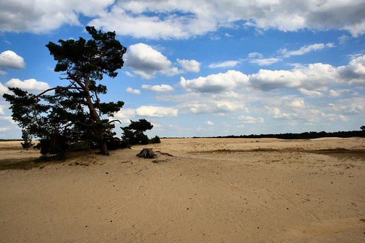 Kroller-Muller Museum & Hoge Veluwe Private Day Tour from Amsterdam