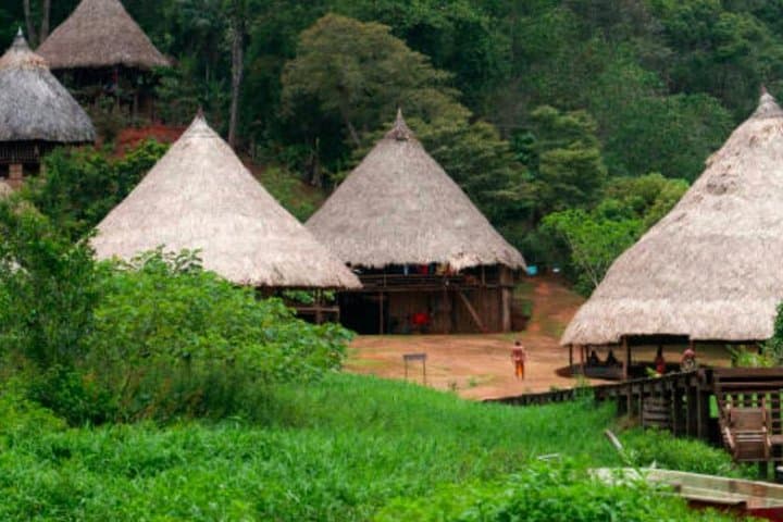 Embera Village and Miraflores Locks Day Trip from Colón: Culture, Canal & Rainforest photo 2