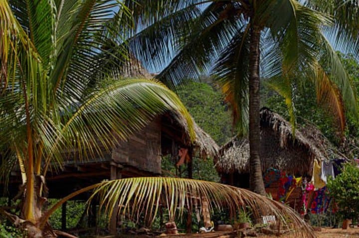 Embera Village and Miraflores Locks Day Trip from Colón: Culture, Canal & Rainforest photo 3