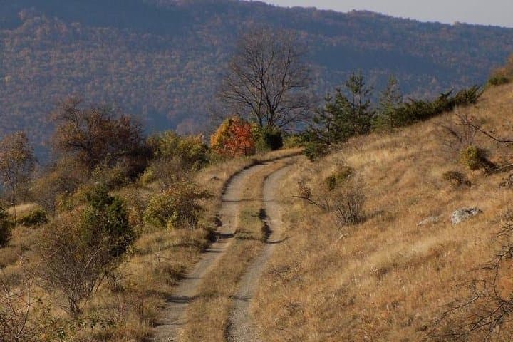 Walking Over the Jurassic Sea: Day Hike from Sofia to Komstitsa photo 2