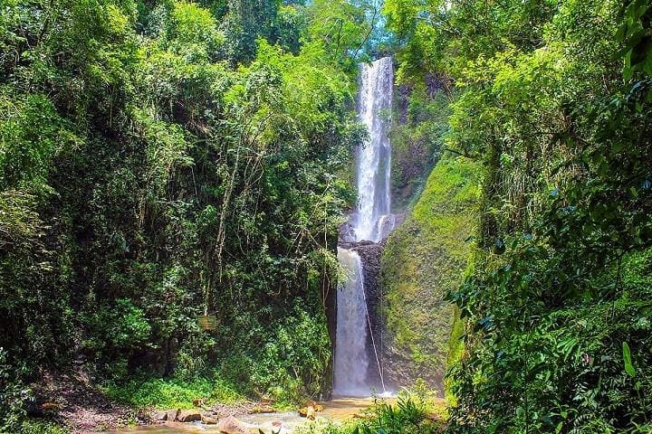 Explore Cassorova EcoPark: Cascading Waterfalls and Atlantic Forest Trails