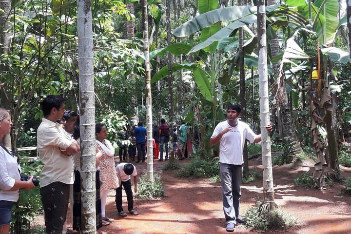Old Goa Churches, Temples & Spice Plantation Day Tour with Goan Lunch photo 4