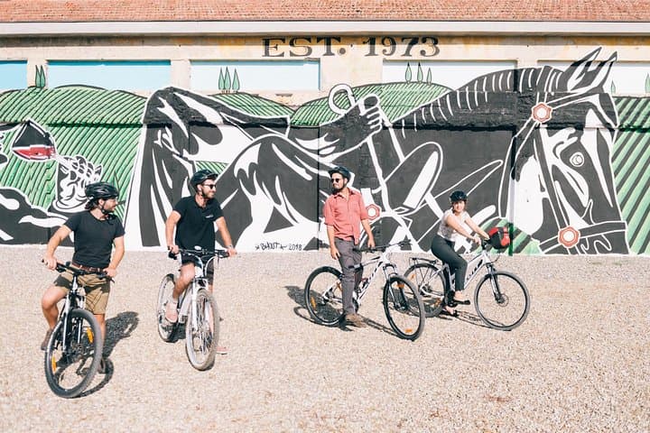 Private E-Bike Tour in Chianti: Vineyard Rides, Winery Lunch & Tasting photo 4