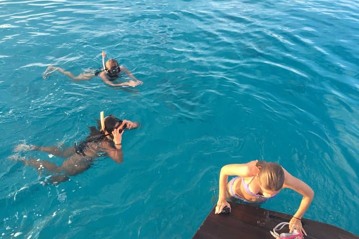 Private Half-Day Snorkel & Cruise on Shady Grady — Providenciales Charter photo 3