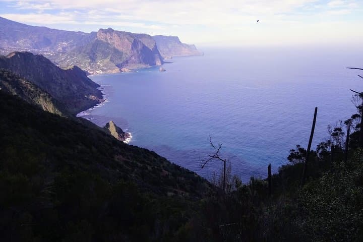 Madeira Levadas: Hike Larano to Boca do Risco and Porto da Cruz photo 5