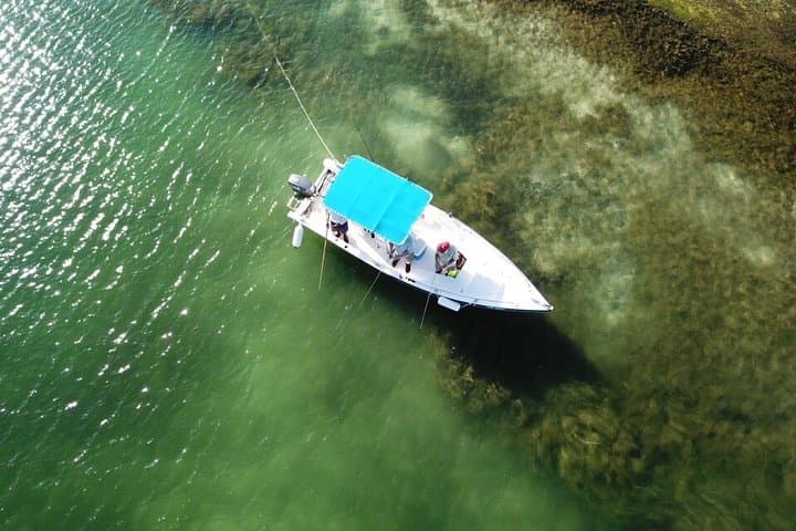 Punta Cana Private Inshore & Fly Fishing Charter at Marina Cap Cana photo 2