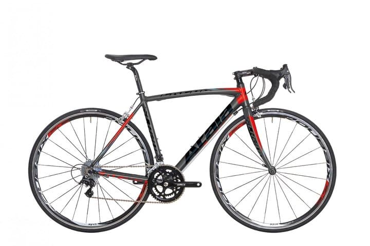 Palermo Road Bike Rental — 24‑Hour Alloy Race Bikes and Suggested Routes