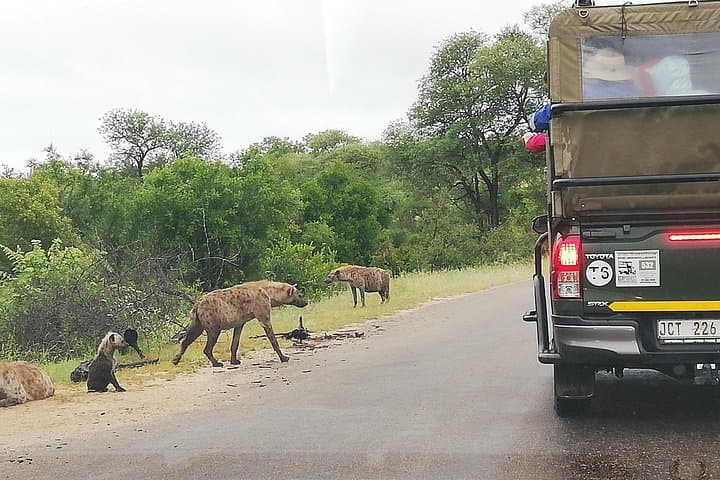Johannesburg to Kruger: 5-Day History and Safari Package photo 4