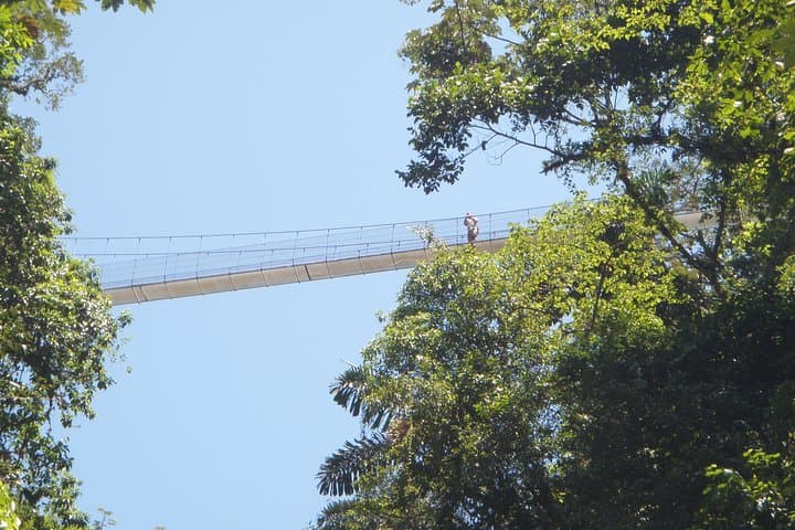 La Fortuna Waterfall, Mistico Hanging Bridges & Arenal Volcano: One-Day Combo Tour photo 6