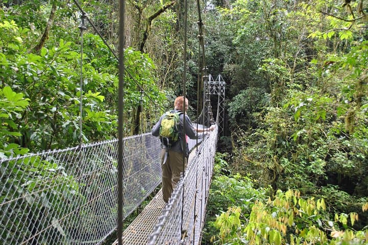 La Fortuna Waterfall, Mistico Hanging Bridges & Arenal Volcano: One-Day Combo Tour photo 4