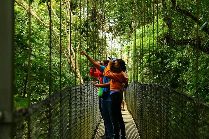 Mistico Hanging Bridges Park: La Fortuna Rainforest Walk Across 15 Bridges photo 3